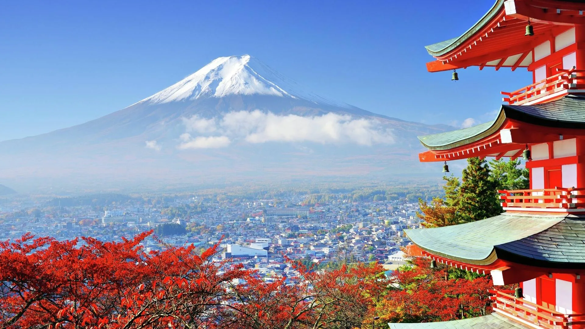 日本の食文化